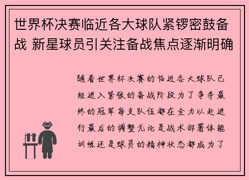 世界杯决赛临近各大球队紧锣密鼓备战 新星球员引关注备战焦点逐渐明确