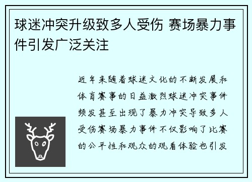 球迷冲突升级致多人受伤 赛场暴力事件引发广泛关注
